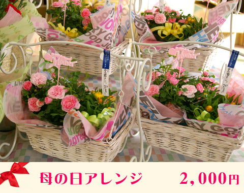 ��̓��A�����W 2,000�~