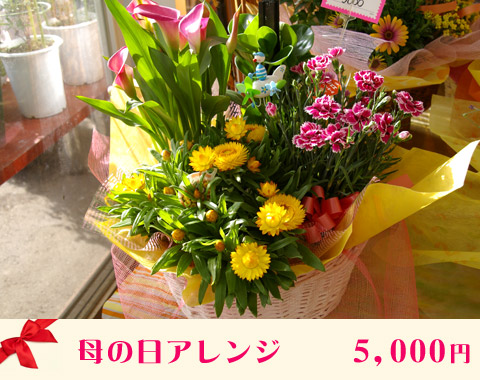 ��̓��A�����W 5,000�~