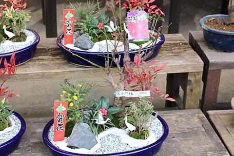 お正月・松竹梅